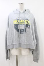 画像1: Candy Stripper / DRAMATIC HOODIE 2 グレー H-26-08-02-1050-PU-TO-KB-ZH (1)