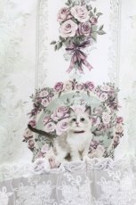 画像4: Royal Princess Alice / Rococo Rose Cat ケープ Free ミント H-26-08-07-1032-LO-TO-NS-ZH (4)