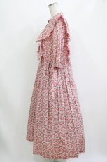 画像2: Jane Marple Dans Le Salon / CHARMIAN Agatha dress  rose H-26-08-09-005-JM-OP-KB-ZH (2)