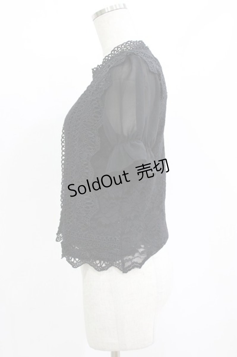 画像2: axes femme POETIQUE / 総レースブラウス M ブラック H-26-08-11-039-AX-BL-NS-ZH (2)