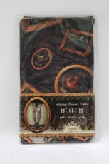 画像1: abilletage / MUSEUM-Color-タイツ  黒 H-26-08-27-1080-GO-ZA-KB-ZH (1)