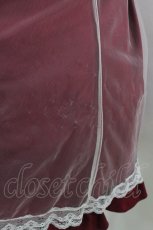 画像4: Amavel / Ribbon Ribbonチュールレイヤードスカート Free レッド H-26-08-29-1036-CA-SK-NS-ZH (4)