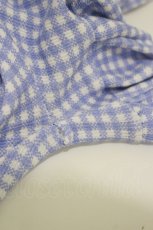 画像3: Candy Stripper / GINGHAM CHECK FRILL SKIRT 2 BLUE H-26-09-01-042-PU-PA-AK-ZH (3)