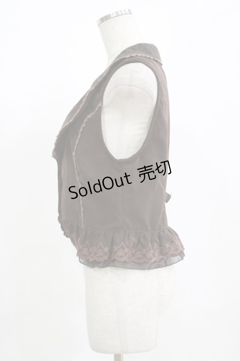 画像2: axes femme / バラ刺繍フリルベスト M ブラウン H-26-09-11-019-AX-TO-NS-ZH (2)