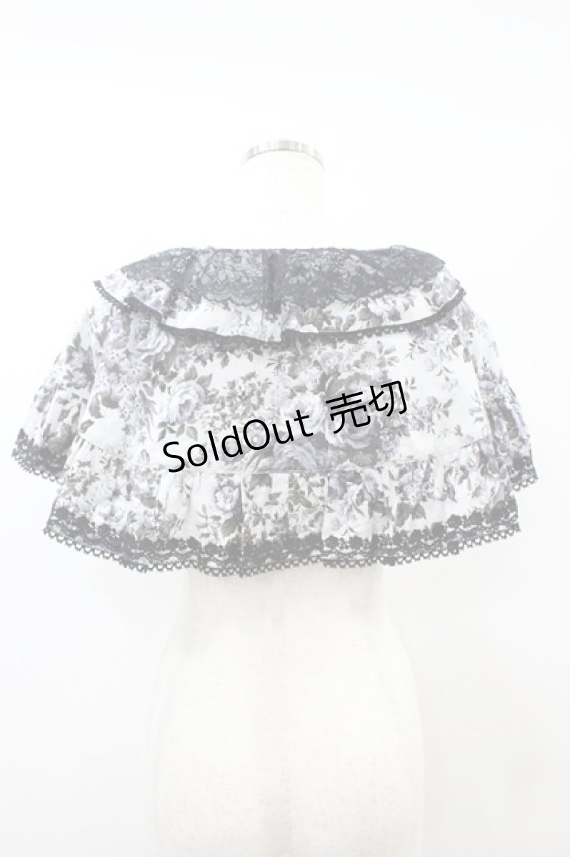 画像2: metamorphose / 【プラスサイズ】ロザリーフリルケープ プラスサイズ オパールグレー(Opal Gray) H-26-09-13-018-ME-JA-NS-ZH (2)