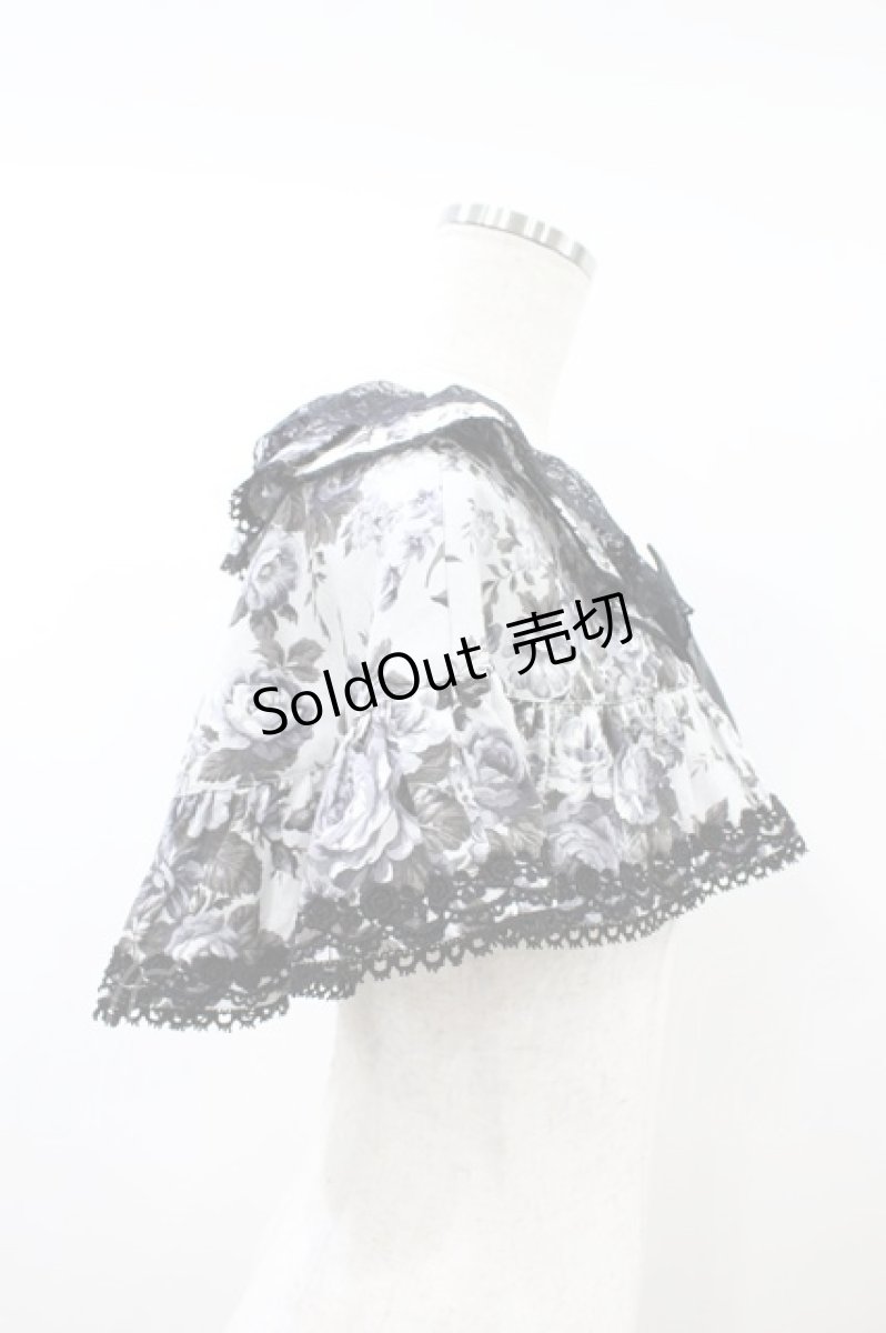 画像3: metamorphose / 【プラスサイズ】ロザリーフリルケープ プラスサイズ オパールグレー(Opal Gray) H-26-09-13-018-ME-JA-NS-ZH (3)
