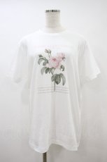 画像1: an another angelus / 花図鑑プリントT Free OFF/PINK H-26-09-28-035-CA-TS-NS-ZH (1)