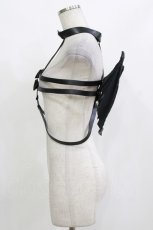 画像2: HIDOLATRAL THEODOL / サキュバス骨ハーネス  黒 H-26-09-30-1042-PU-ZA-AK-ZH (2)