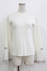 画像1: axes femme / ローズ刺繍フレア袖配色ニット Free オフ H-26-10-03-050-AX-TO-NS-ZH (1)