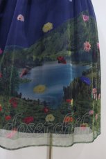 画像3: Jane Marple / Dreamy Dreamミドルチュチュスカート M トワイライト H-26-10-06-1020-JM-SK-AK-ZH (3)