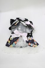 画像1: BABY,THE STARS SHINE BRIGHT / くみゃちゃんのKiraKira Sweets Halloween柄くみゃちゃんねこみみケープ  クロ H-26-10-08-061-BA-ZA-OW-ZH (1)