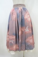 画像2: axes femme / ルシェルプリントスカート M ピンク H-26-10-09-1022-AX-SK-NS-ZH (2)