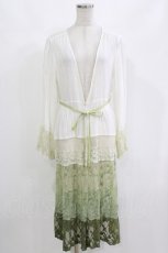 画像1: axes femme / グラデーションレースガウン M オフ/グリーン H-26-10-29-032-AX-TO-NS-ZH (1)