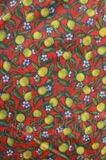 画像4: Jane Marple Dans Le Salon / Lemon groveのワンピース  レッド H-26-10-30-012-JM-OP-KB-ZH (4)