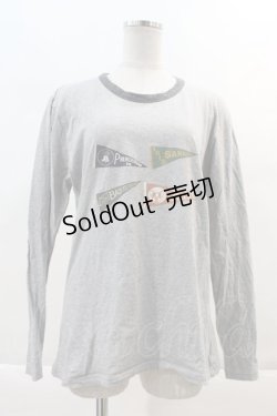 画像1: Karl Helmut Re Plus / 旗風プリントカットソー M グレー I-24-05-22-051-LO-TO-HD-ZI