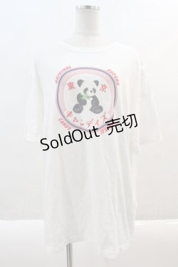画像1: Candy Stripper / パンダBIG TEE  白 I-24-08-11-077-PU-TO-HD-ZT314