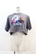 LAND by MILKBOY / UNICORN CAT TEE  グレー I-24-11-22-008-MB-TO-HD-ZT336