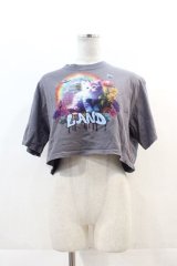LAND by MILKBOY / UNICORN CAT TEE  グレー I-24-11-22-008-MB-TO-HD-ZT336