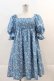 画像1: Candy Stripper / TINY DAISY PUFF SLEEVE DRESS  青 I-24-11-24-081-PU-OP-HD-ZT329 (1)
