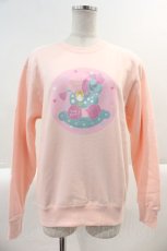 画像1: Nile Perch / カルーセルトレーナー  ピンク I-25-03-02-006-LO-TO-HD-ZI (1)