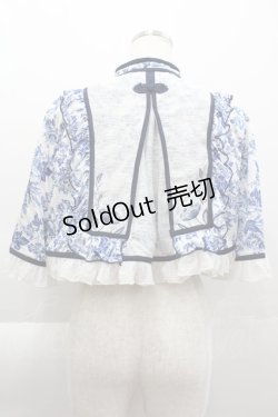 画像2: 星箱works / 青華磁ケープ  青Ｘ白 I-25-04-07-034-PU-JA-HD-ZI
