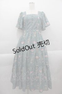 axes femme / レーヌローズ柄ワンピース  グリーン I-25-04-12-101-AX-OP-HD-ZI