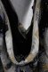 画像3: Jane Marple / フロッキーアリスバッグ  ブラウンＸ黒 I-25-05-01-121-JM-BG-HD-ZI (3)