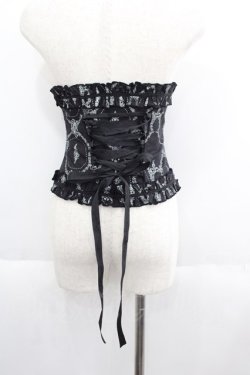 画像2: GOTHPUNKその他(買取対象外) / 格子風柄コルセット  黒Ｘミント I-25-05-19-108-EL-ZA-HD-ZI