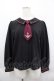 画像1: axes femme / 刺繍入りタイ付ブラウス  黒Ｘボルドー I-25-06-11-002-AX-BL-HD-ZI (1)