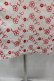 画像4: Lily Brown / フラワー刺繍オフショルワンピース  アイボリーＸ赤 I-25-07-27-068-EL-OP-HD-ZI (4)