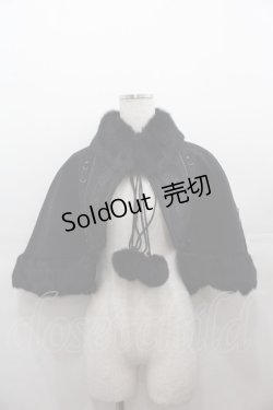 画像1: Rozen Kavalier / ファー&刺繍ケープ  黒 I-25-07-27-042-OO-JA-HD-ZI