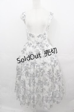 画像1: Victorian maiden / アンティークロココブーケエプロンドレス  モノトーン I-25-08-15-071-CL-OP-HD-ZI