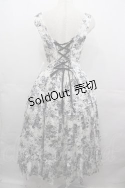 画像2: Victorian maiden / アンティークロココブーケエプロンドレス  モノトーン I-25-08-15-071-CL-OP-HD-ZI