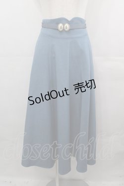 画像1: an another angelus / アンティークローズカメオベルト付きスカート  青 I-25-08-15-108-CA-SK-HD-ZI