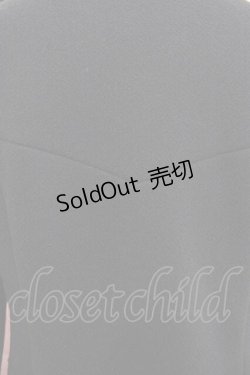 画像3: Amavel / Classical Napoleonロングコート  グリーン I-25-09-02-047-CA-CO-HD-ZI