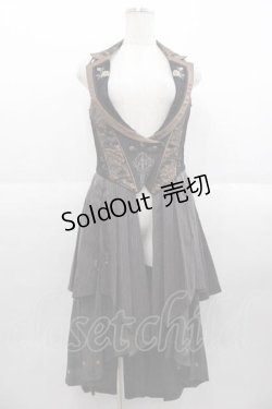 画像1: Ozz oneste / 薔薇刺繍ロングビスチェ  ブラウン I-25-09-02-076-OO-OP-HD-ZI