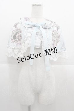 画像1: Royal Princess Alice / Rococo Rose Cat ケープ  ブルー I-25-09-15-016-LO-TO-HD-ZI
