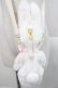 画像5: Angelic Pretty / Dreamyリリカルバニーぬいぐるみポーチ  白Ｘピンク I-25-09-27-110-AP-ZA-SA-ZI
