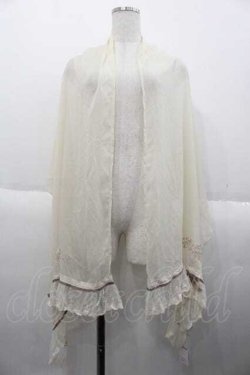 画像1: axes femme / 刺繍入りストール  キナリ I-25-10-10-123-AX-ZA-SA-ZI