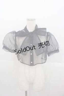 画像1: Ank Rouge / シースルー半袖ブラウス  黒 I-25-10-24-059-CA-BL-SA-ZI
