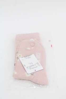 画像2: PINK HOUSE / 桜Teddyソックス  ピンク I-25-10-24-028-LO-ZA-SA-ZI