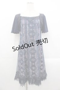 Ozz oneste / 蝶プリントチュール重ね半袖ワンピース  ネイビー I-25-10-29-050-OO-OP-SA-ZI