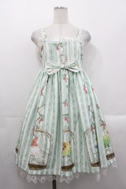 画像1: Le Palais du Miroir(海外ロリータブランド) / 小鳥柄ジャンパースカート  グリーンX白 I-25-10-29-044-LO-OP-SA-ZI