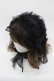 画像1: LOLITAその他(お買取対象外) / 蝶レースチュールヘッドドレス  黒 I-25-11-04-111-LO-AC-SA-ZI (1)