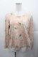 画像1: PINK HOUSE / ブーケプリント長袖ハシゴレースプルオーバー L ピンク I-25-11-04-025-LO-TS-SA-ZI (1)