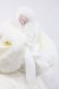 画像3: Angelic Pretty / Princess Catコート  白 I-25-11-12-021-AP-CO-SA-ZI (3)