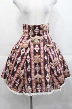 画像1: ALICE and the PIRATES / レジメンタルカルーセル柄スカート   I-25-11-18-066-PA-SK-SA-ZI