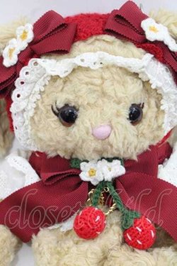 画像3: BABY,THE STARS SHINE BRIGHT / ひみつの森のChaperon rouge しあわせいちごのうさくみゃちゃんポシェット  ブラウン I-25-11-18-115-BA-BG-SA-ZI