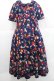 画像1: PINK HOUSE / HELLO KITTY Patterned Long One-piece  ネイビー I-25-11-27-053-LO-OP-SA-ZI (1)