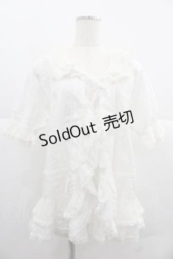 画像1: PINK HOUSE / チュールレースオーバーブラウス  ホワイト I-25-12-06-015-LO-BL-SA-ZI